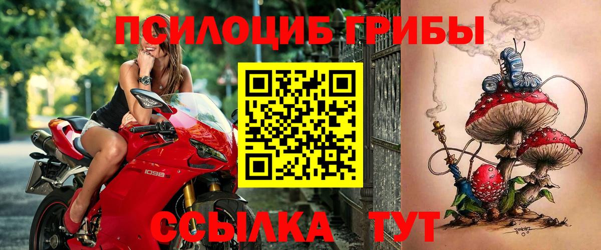 Псилоцибиновые грибы GOLDEN TEACHER Краснокамск