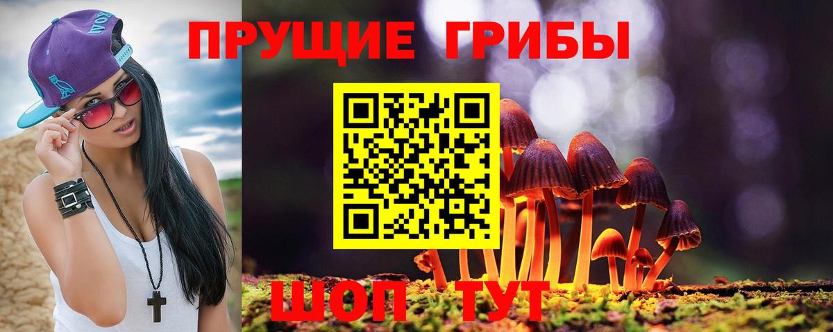 Псилоцибиновые грибы Psilocybine cubensis  Вход с VPN  Краснокамск  Псилоцибиновые грибы Psilocybe 
